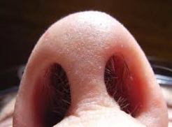 Gezichtsbeharing_ageilII