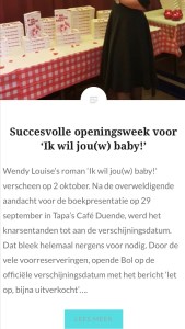 Wendy Louise, Ik wil jouw baby, bestseller, roman, feelgood